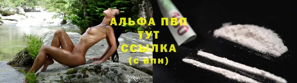 прущий лед Алексин