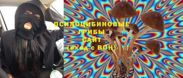 прущий лед Алексин