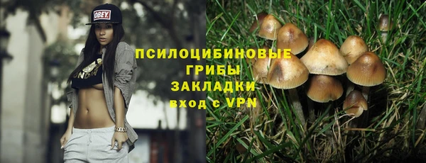 прущий лед Алексин