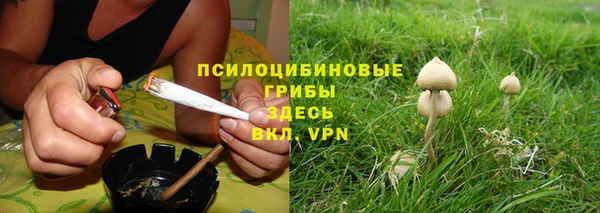 стафф Алексеевка
