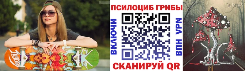 hydra зеркало  Каргат  Галлюциногенные грибы Cubensis 
