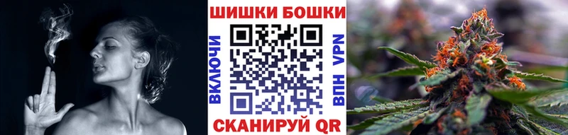 Канабис сатива Каргат